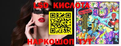 дмт Камышлов