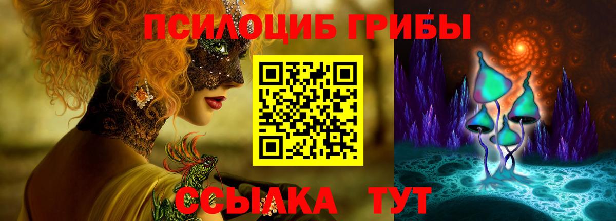 Добрянка  Галлюциногенные грибы Psilocybe  Вход с VPN 